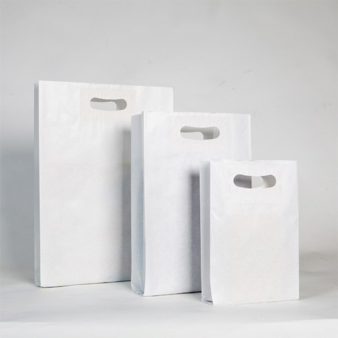 Bolsa de papel blanca, asa troquelada, color blanco.